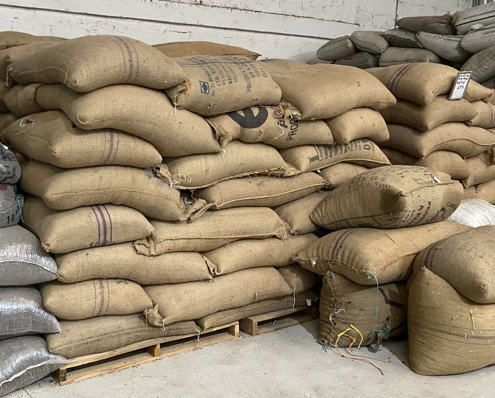 Costales de yute con café en pergamino almacenados en bodega antes del tueste.