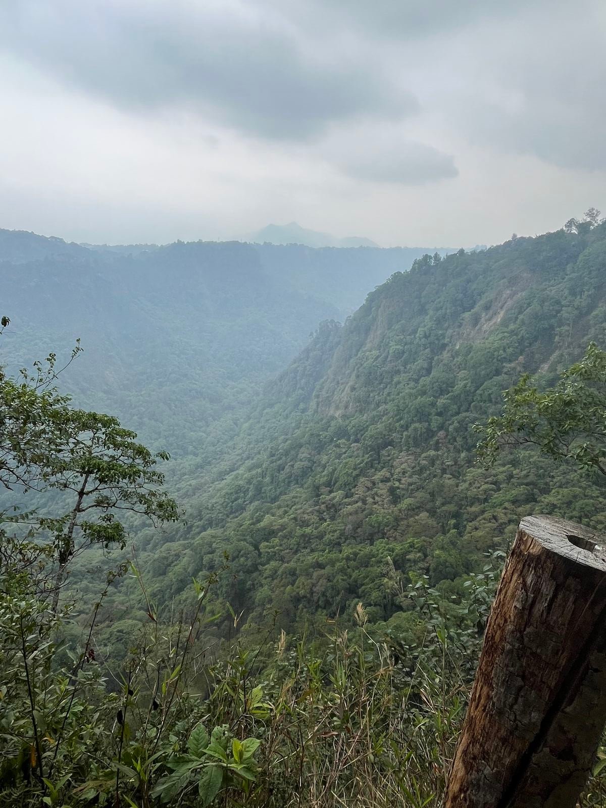 Vista panorámica de la Sierra Norte de Puebla, cañón boscoso donde se cultiva el café Rocinante en Tierra Negra, Xicotepec de Juárez.